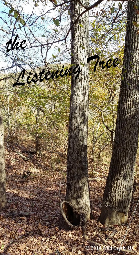 listening ent tree