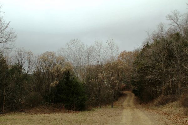 photo of our driveway