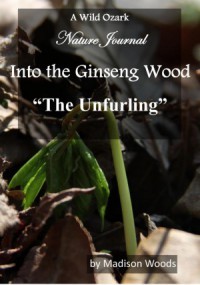 cover photo for The Unfurling