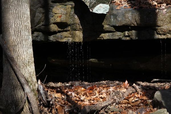 a dripping spring
