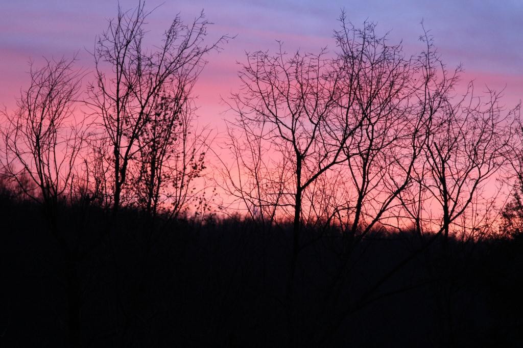 photo of sunset in winter in the ozarks. This time of year makes me think I need to plan ahead for days to come. 