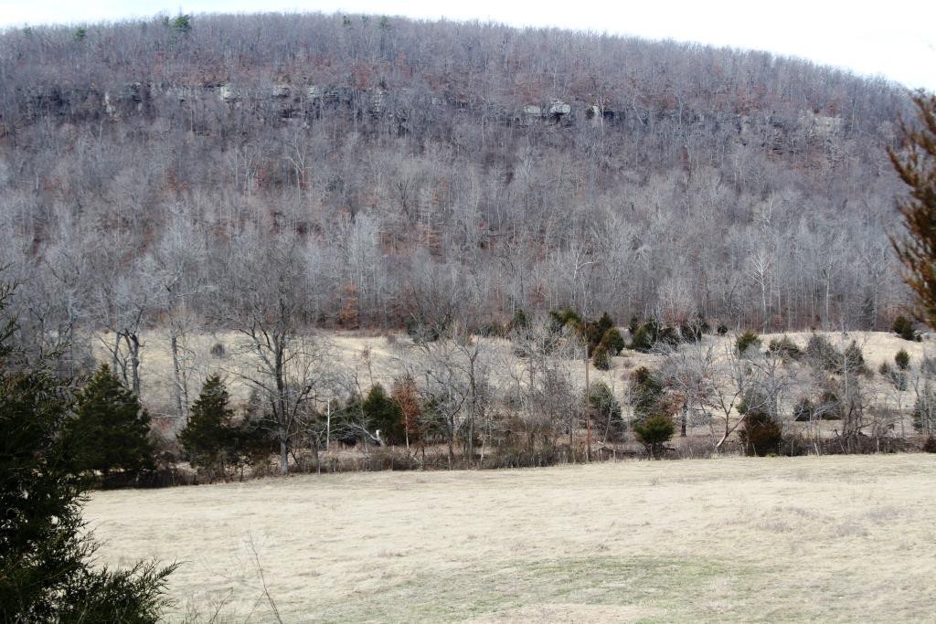 We pass this mountain on our way to go digging goldenseal.