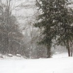 blizzard down driveway