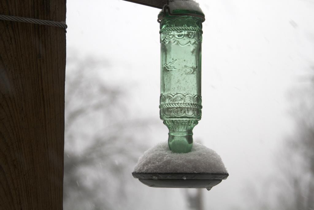 snow on hummingbird feeder