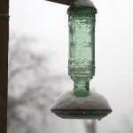 snow on hummingbird feeder