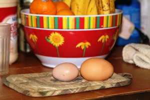 a hen's first egg