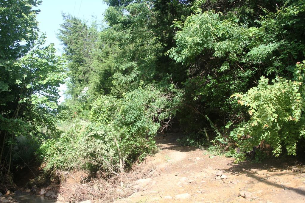 Slow Landslide at Wild Ozark