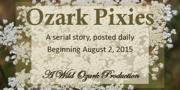 ozark pixies serial story advertisement graphic