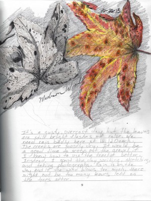 The sketch in the winner's journal - Two Sweetgum leaves, by Madison Woods