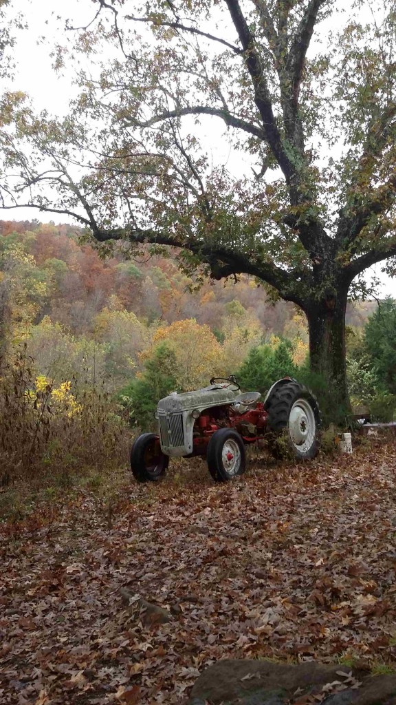 drizzly morning rounds -Old Ford 8N