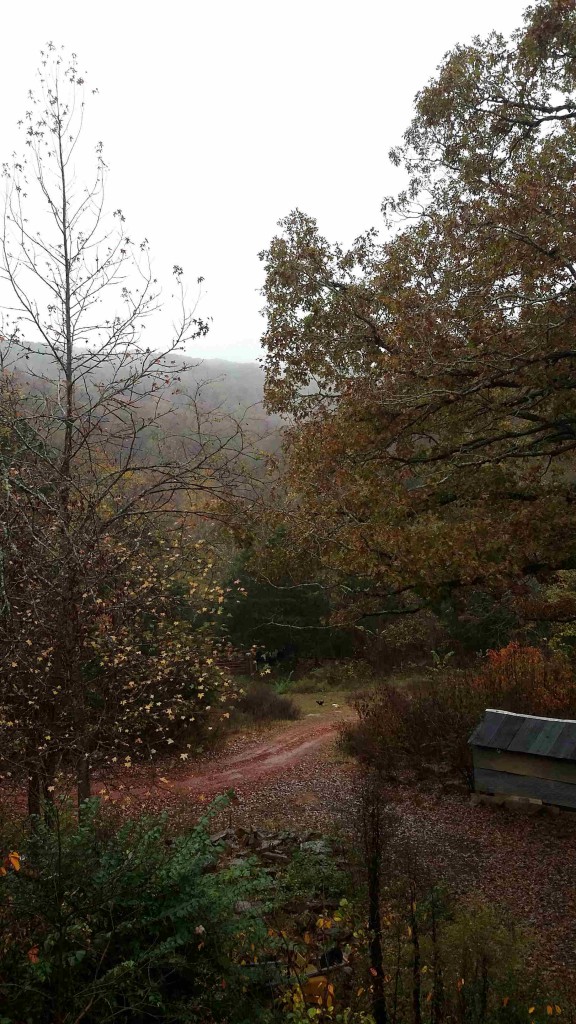 drizzly morning rounds -Horse's gate in the distance