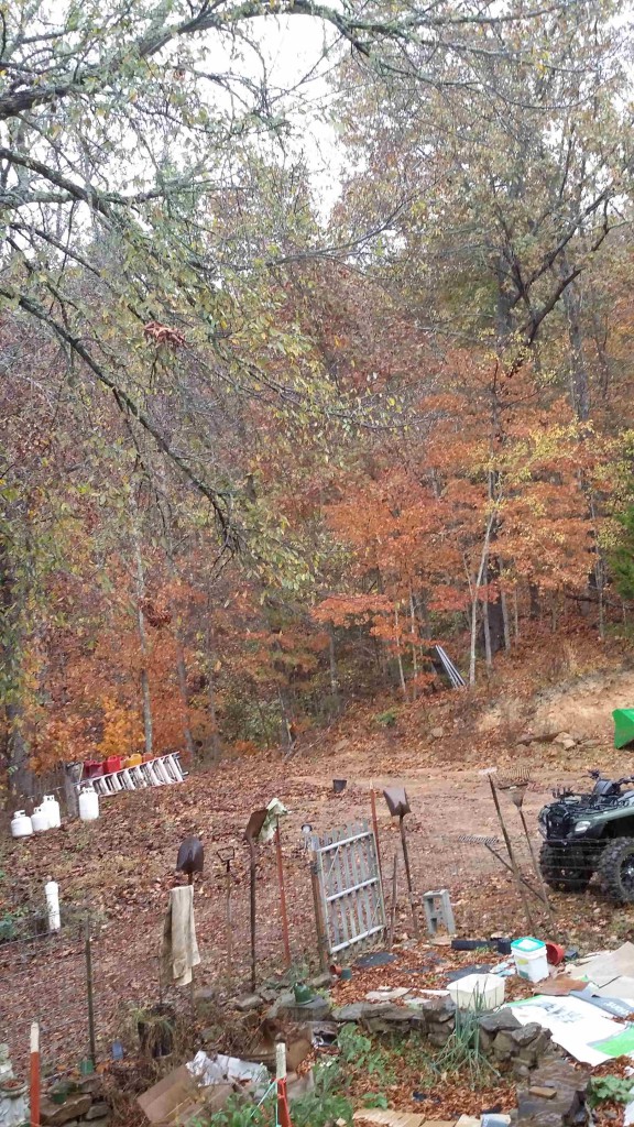 Past the garden toward the back at Wild Ozark.