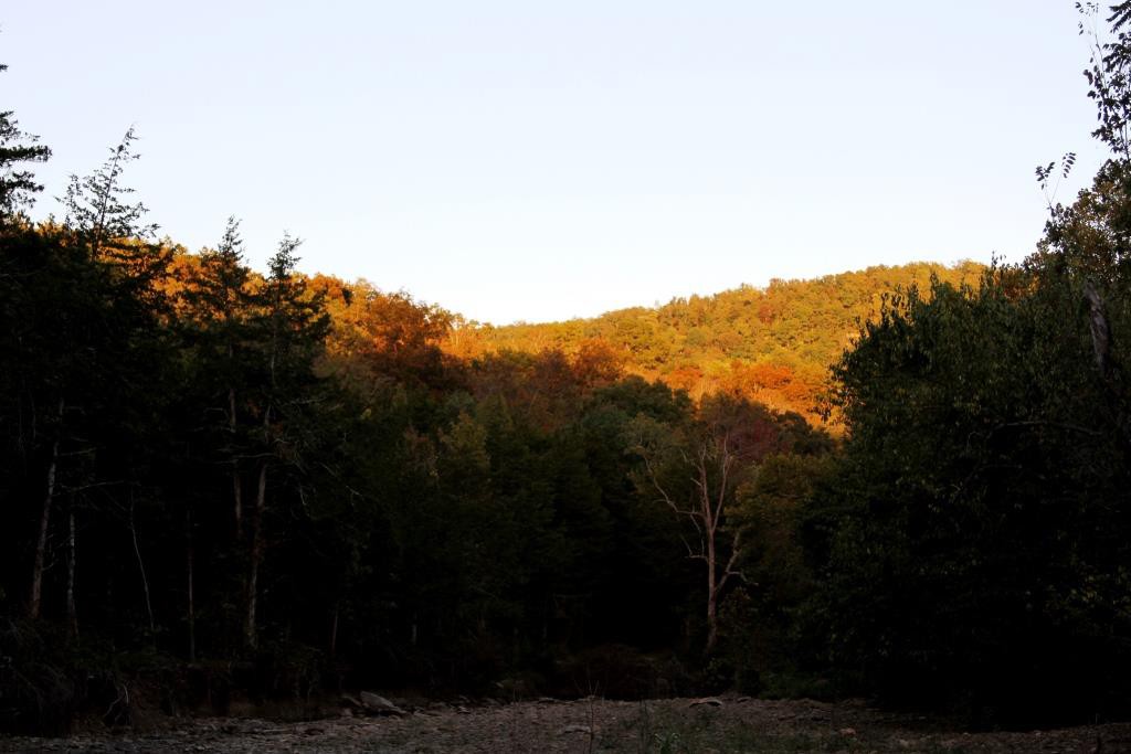 The setting sun illuminated these trees on the hillsides, really showing up the beginning color.