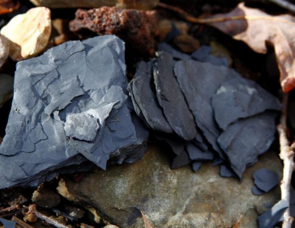 shale is a gray Ozark pigment