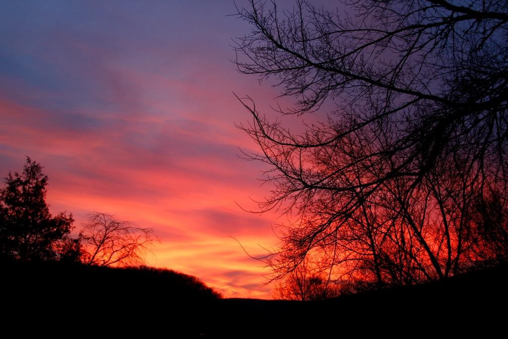 sunset after killing roosters 