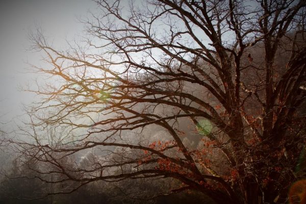 Random Nature Connection – Resistance to Change