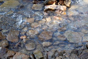 flat rocks in creek