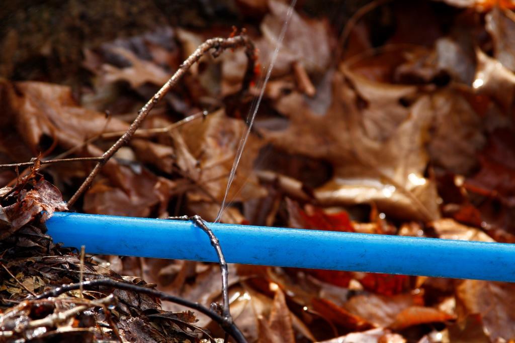 A problem in our gravity feed spring water system