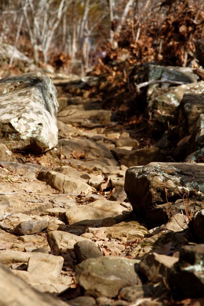 Rocky path at Kings River Falls Natural Area in Madison county Arkansas.