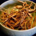 2016 Ginseng Prices were too low at the digger's level, so many diggers left their roots in the ground to grow another year.