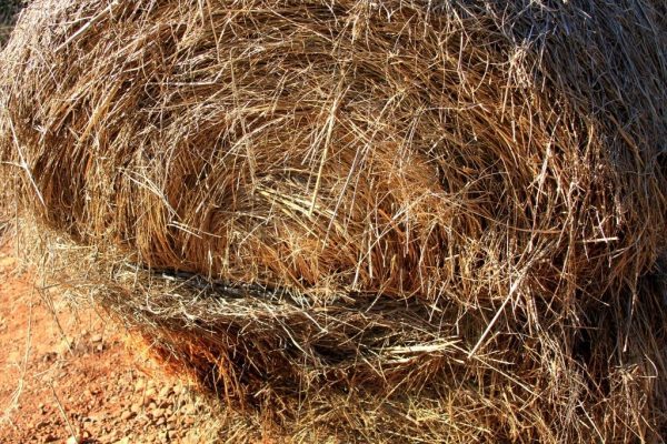 To lift the bale wrap the chain around the lower half but not too low or it will tip when you lift.