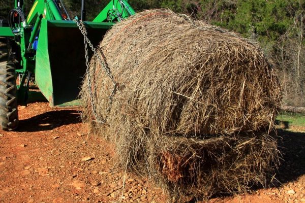 When the bucket is tilted up, the chain tightens and then the bale can be lifted.