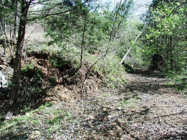 Getting started on clearing the driveway after the landslide last year.