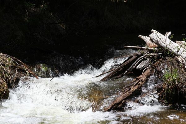 One of the creeks where we are panning for gold in the Rockies!