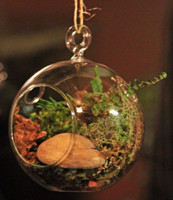 Our latest creation to help you reconnect to nature is this adorable homestead fairy habitat. Going through shipping trials now! Sign up for the newsletter or watch the blog to know when they're listed in our Boutique.
