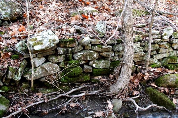 This rock wall is a perfect example of balanced asymmetry and organized chaos.