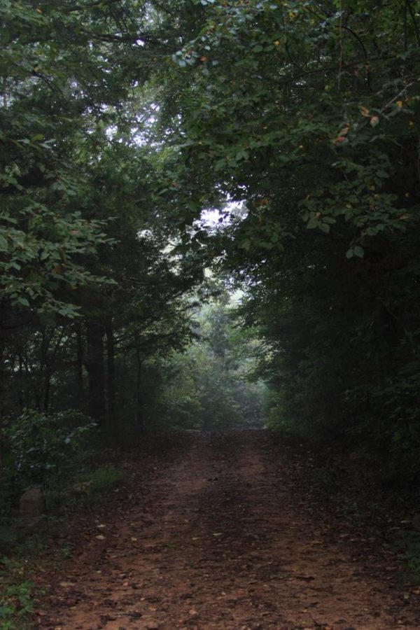 The driveway in an oft-photographed spot.