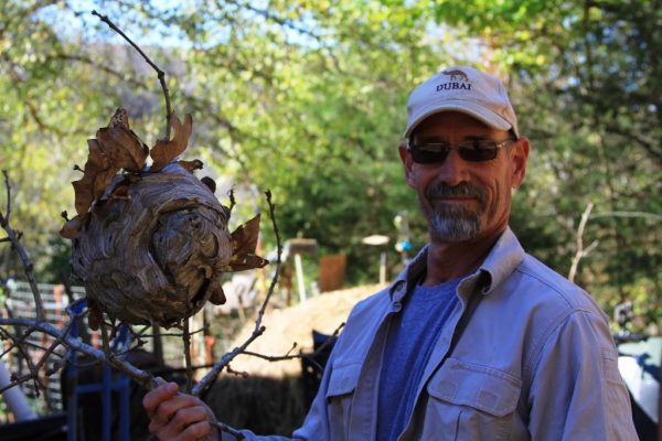 Rob with the hornet's nest