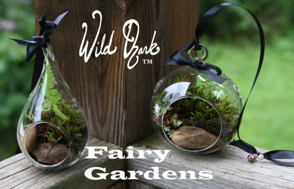Our Fairy Gardens are available in round or teardrop globes.