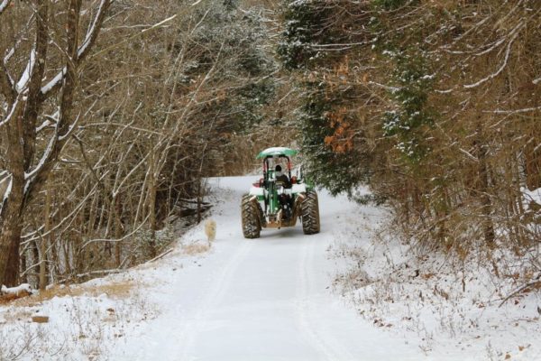 Bringing Hay to Horses in Snow