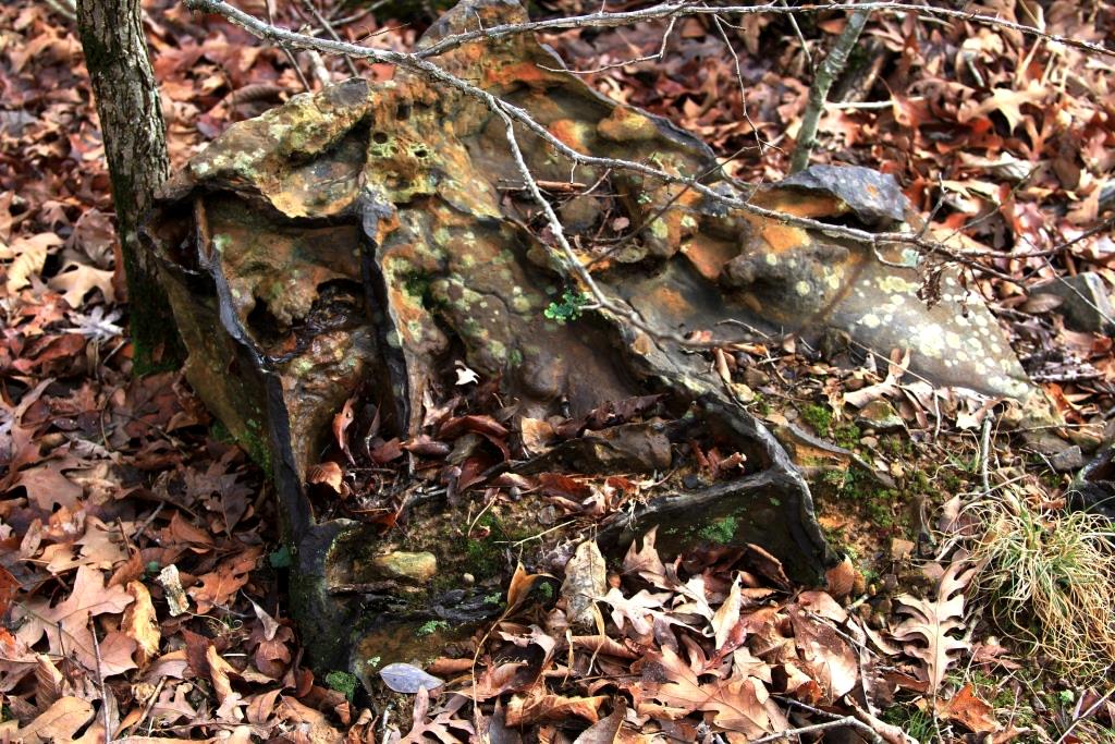 This rock wasn't at the bluff but we saw it earlier on our way to the bluff. The rocks in that spot have a lot of iron veins in them. Odd-looking, huh?