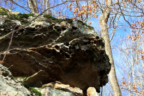 We don't have much limestone on our property, but this does look like it has a lot of calcium/magnesium because of the holes. Most of our rocks are sandstone.