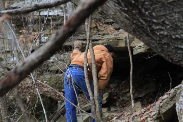 Looking for critters in our Wild Ozark bluff