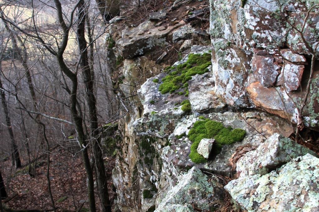 We saw Mossy ledges while hiking to the Corner Bluff.
