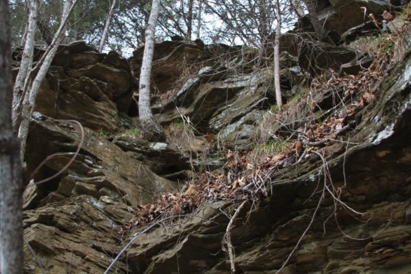 A well-worn path.