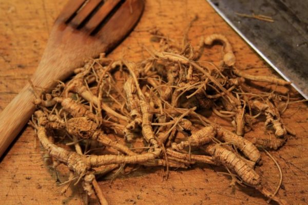 Making ginseng jelly- Getting ready to chop the ginseng roots after soaking them for a couple of hours.