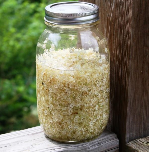 Elderflowers infusing in the sun.