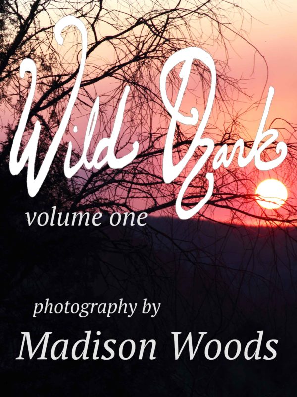 Wild Ozark photos collection, volume 1, available for preorder now.