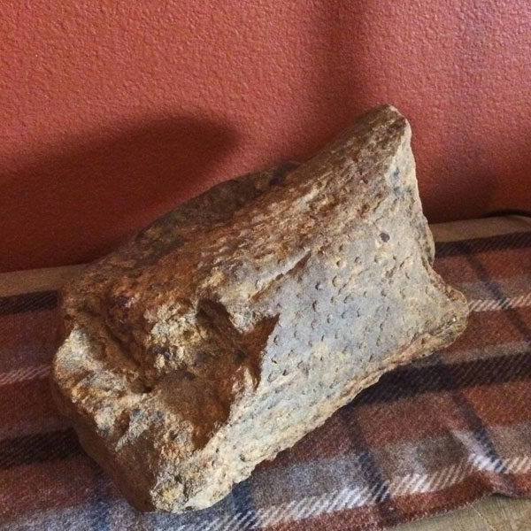 Part of a Lepidodendron tree from about 300 million years ago. Found in the same area as the native clay deposit.