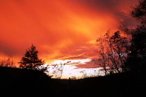 Sienna Sunset, October 20, 2017. SOOC, no filters. The moment was fleeting, but I was glad to have captured it.