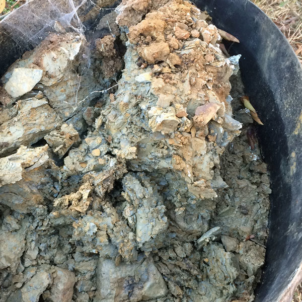 Raw native clay. It's in a large black plastic tub. Not sure of the size, but it's a lot of clay.