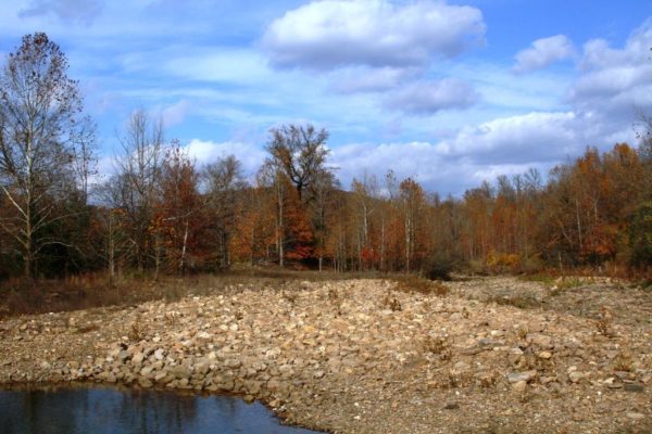 Felkins Creek yet again.