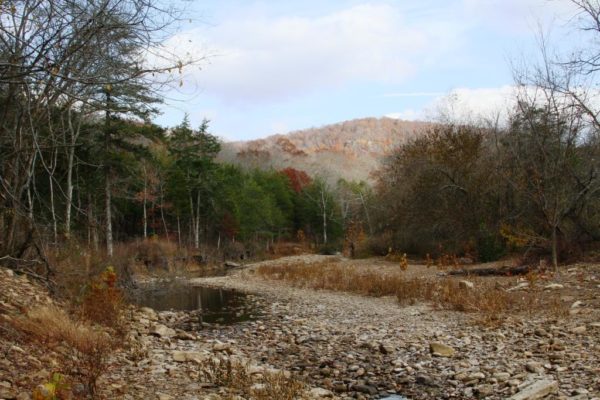 Felkins Creek showing the last of the fall color