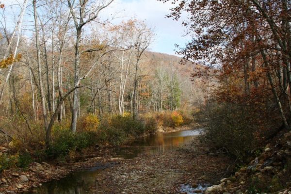 A creek nearby makes dealing with limited water a bit easier.