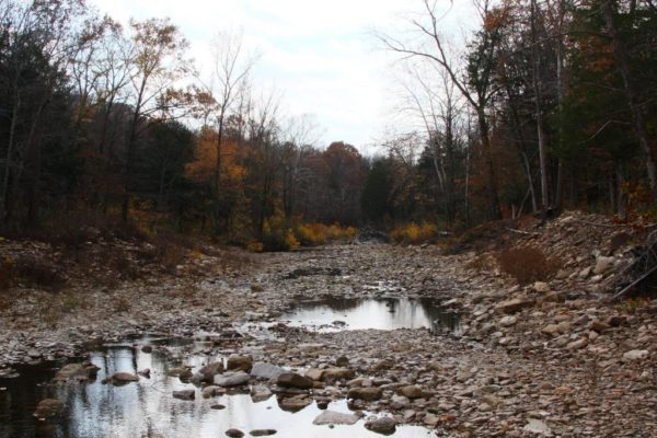 One last view of Felkins Creek.