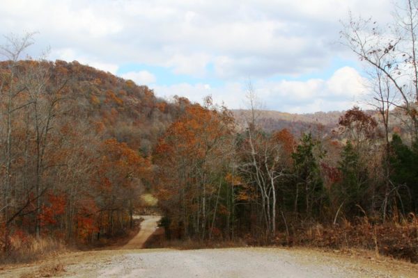 Fall Colors 2107. Almost back to the house. Still have to pass over Felkins Creek one last time.